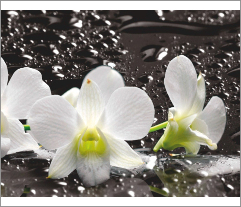 Стеновые панели из МДФ, Панель ASP 14 2800*610*6 глянец Орхидеи на черном