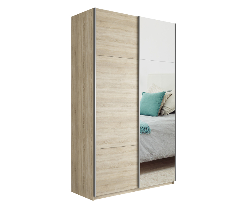 Шкафы-купе 2-х дверные, Шкаф Прайм дуо ДСП+зеркало 2300 х 1200 х 570