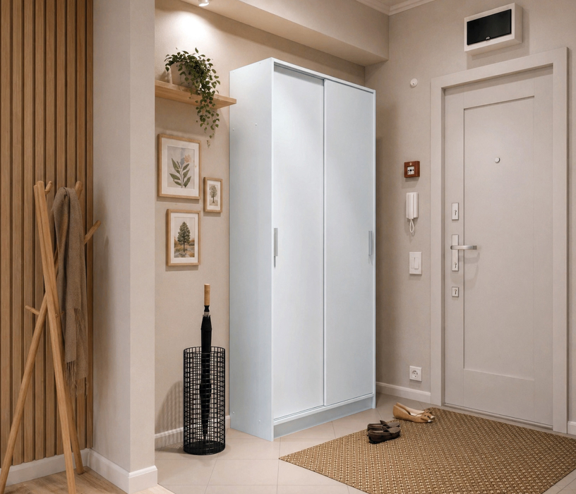 Шкафы-купе, Шкаф-купе 2-х дверный Терра СБ-2545