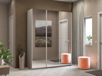 Шкаф-купе Прайм 3-х дверный Зеркала/Доводчики 210х57х230